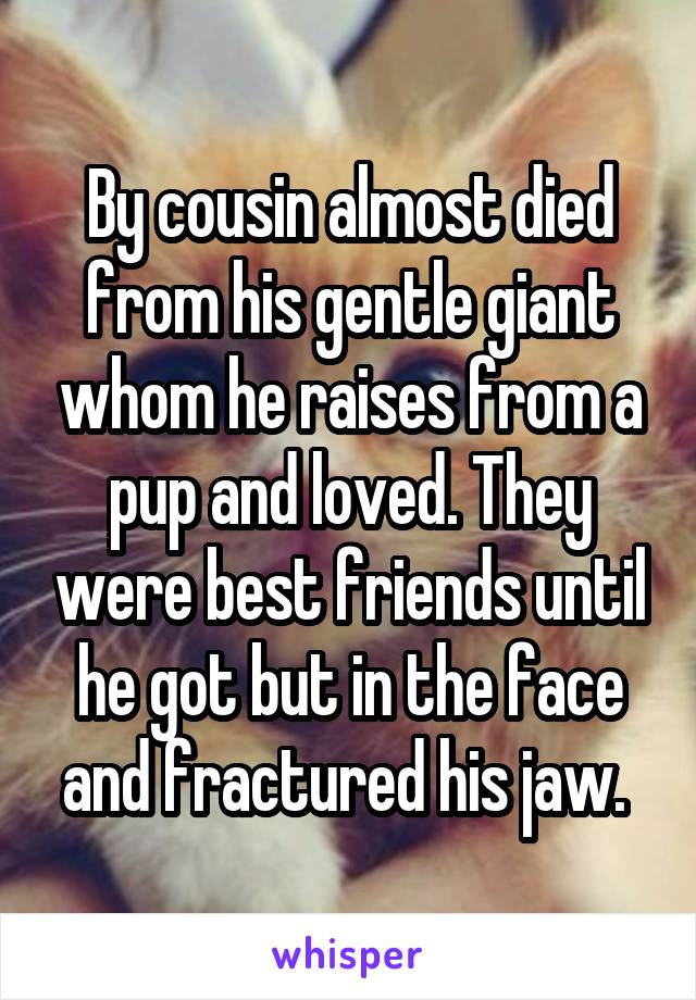 By cousin almost died from his gentle giant whom he raises from a pup and loved. They were best friends until he got but in the face and fractured his jaw. 