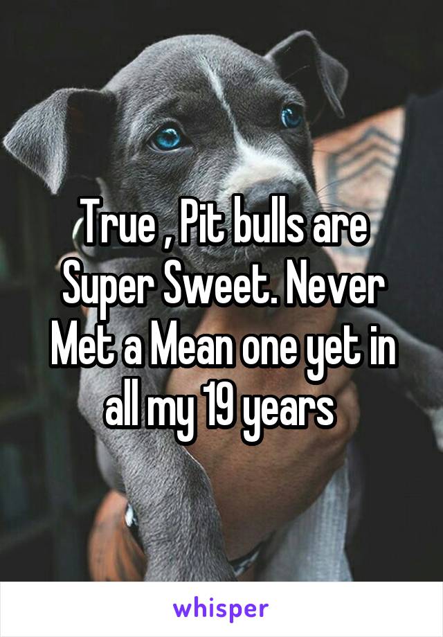 True , Pit bulls are Super Sweet. Never Met a Mean one yet in all my 19 years 