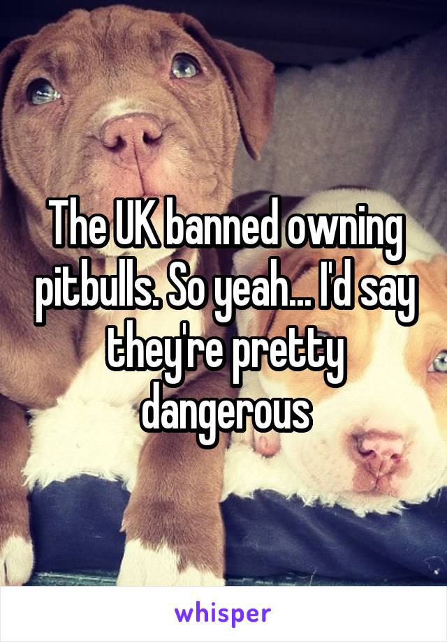 The UK banned owning pitbulls. So yeah... I'd say they're pretty dangerous