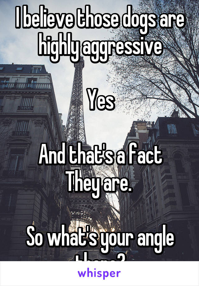 I believe those dogs are highly aggressive

Yes

And that's a fact
They are. 

So what's your angle there?