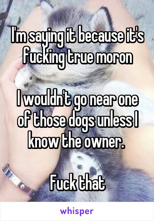  I'm saying it because it's fucking true moron

I wouldn't go near one of those dogs unless I know the owner. 

Fuck that