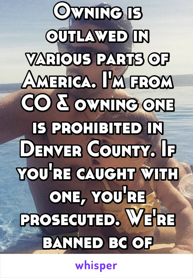 Owning is outlawed in various parts of America. I'm from CO & owning one is prohibited in Denver County. If you're caught with one, you're prosecuted. We're banned bc of frequent attacks.