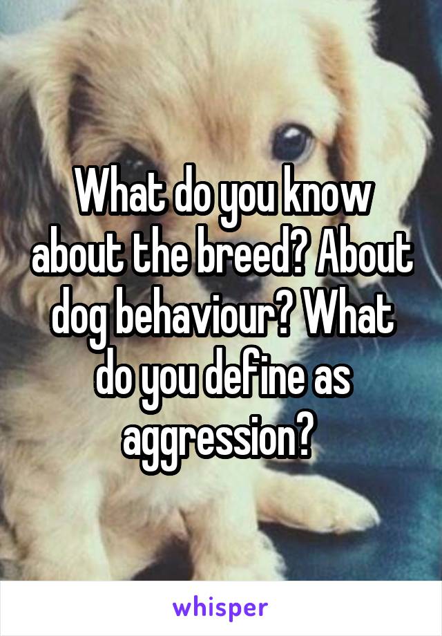 What do you know about the breed? About dog behaviour? What do you define as aggression? 