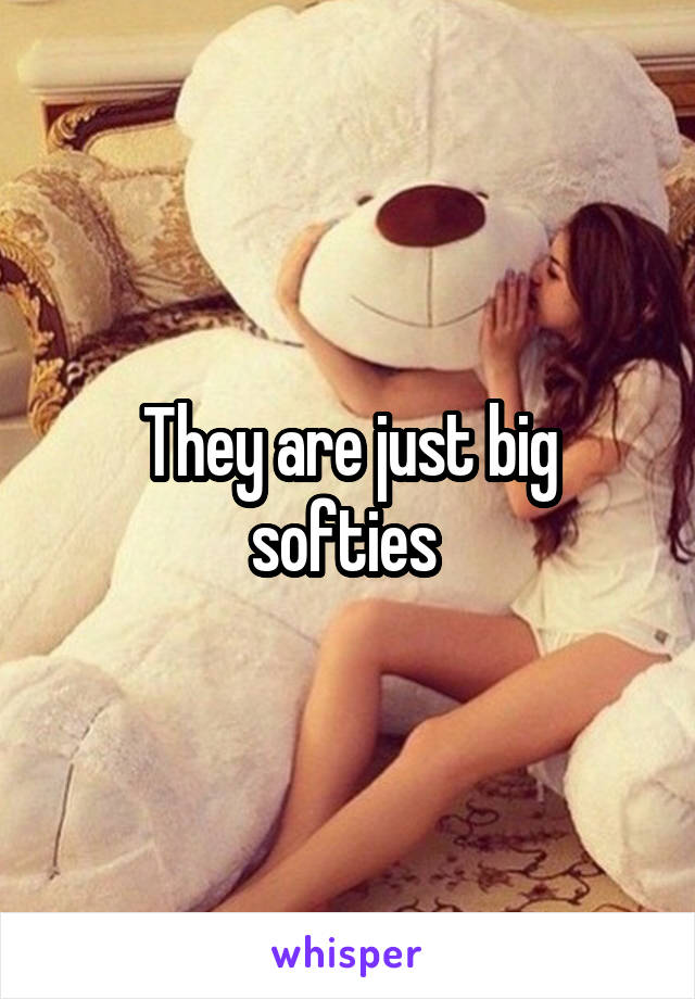 They are just big softies 