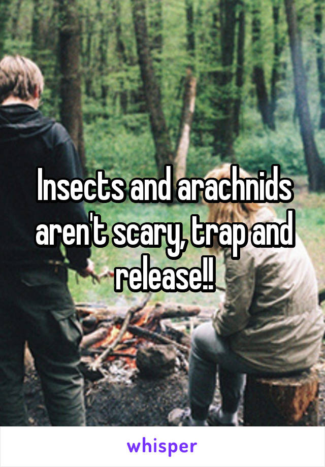 Insects and arachnids aren't scary, trap and release!!