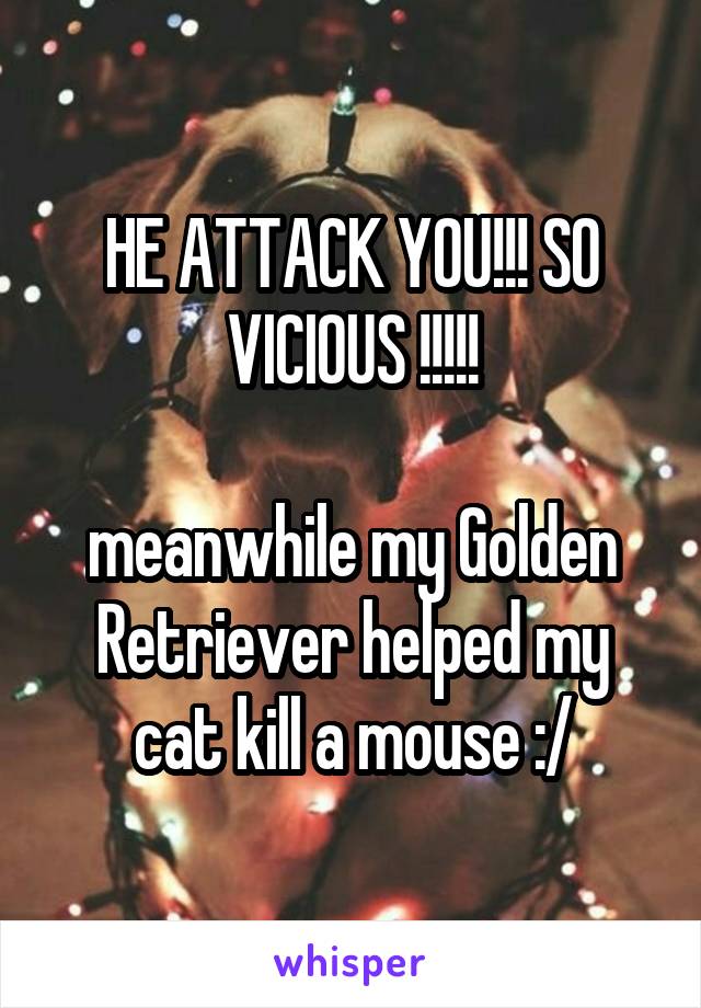 HE ATTACK YOU!!! SO VICIOUS !!!!!

meanwhile my Golden Retriever helped my cat kill a mouse :/