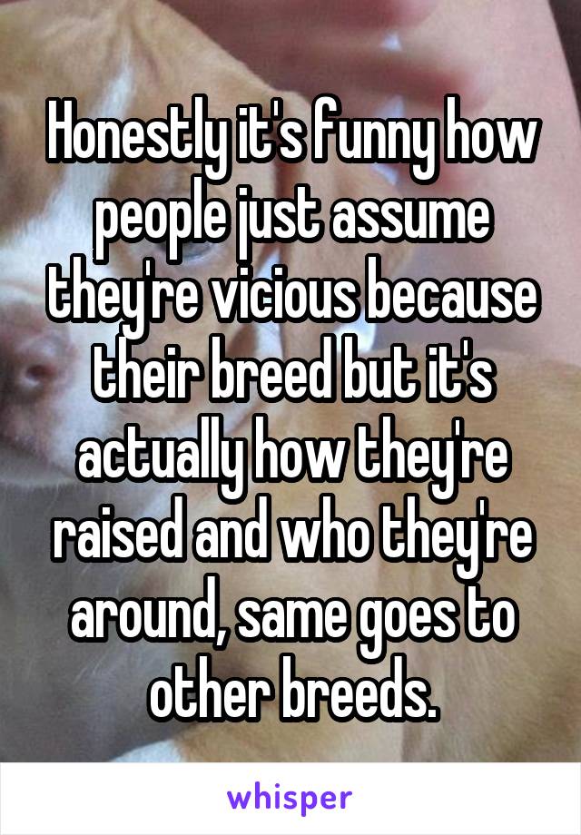 Honestly it's funny how people just assume they're vicious because their breed but it's actually how they're raised and who they're around, same goes to other breeds.