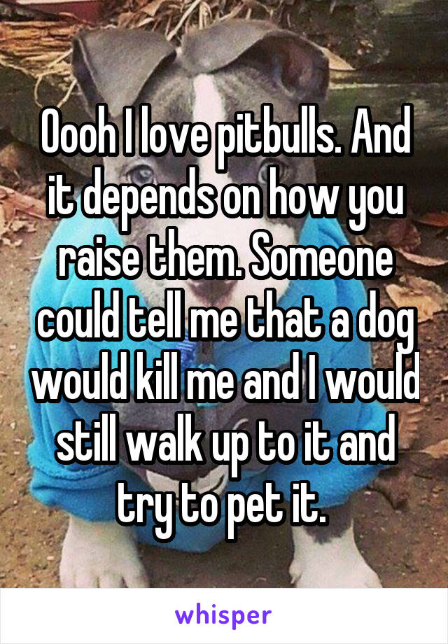 Oooh I love pitbulls. And it depends on how you raise them. Someone could tell me that a dog would kill me and I would still walk up to it and try to pet it. 