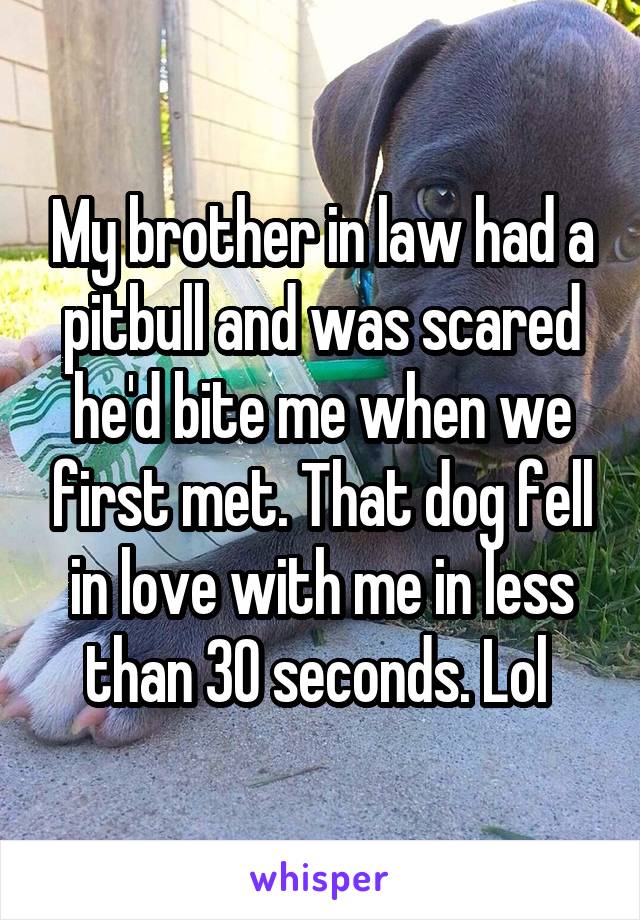 My brother in law had a pitbull and was scared he'd bite me when we first met. That dog fell in love with me in less than 30 seconds. Lol 