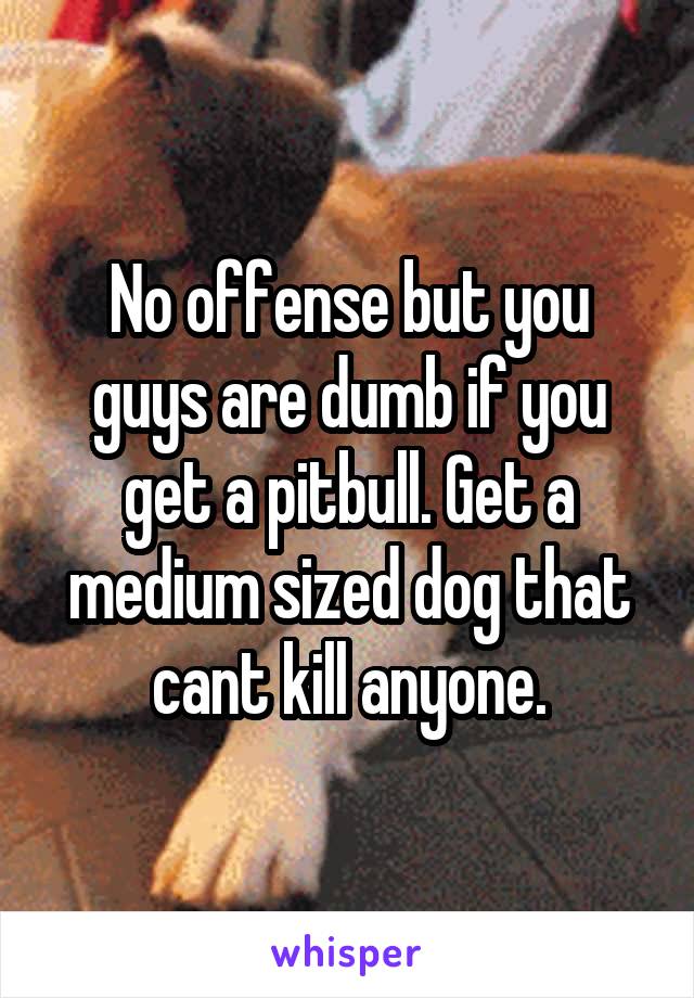 No offense but you guys are dumb if you get a pitbull. Get a medium sized dog that cant kill anyone.