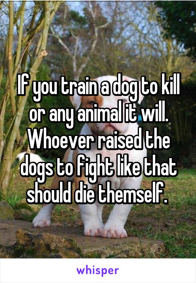 If you train a dog to kill or any animal it will. Whoever raised the dogs to fight like that should die themself. 