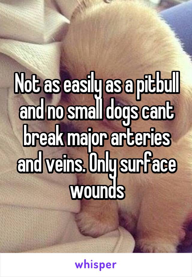 Not as easily as a pitbull and no small dogs cant break major arteries and veins. Only surface wounds