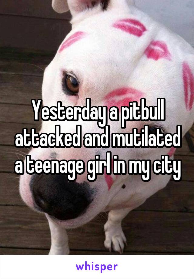 Yesterday a pitbull attacked and mutilated a teenage girl in my city