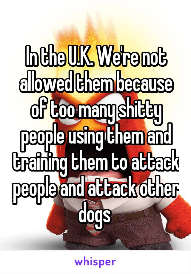 In the U.K. We're not allowed them because of too many shitty people using them and training them to attack people and attack other dogs 