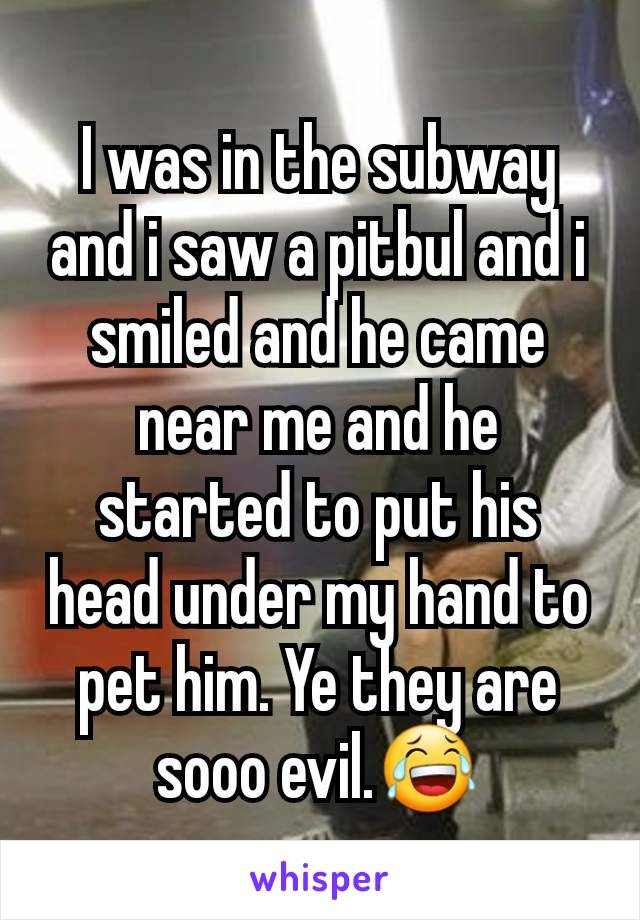 I was in the subway and i saw a pitbul and i smiled and he came near me and he started to put his head under my hand to pet him. Ye they are sooo evil.😂