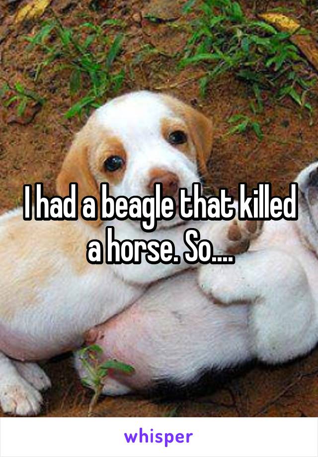 I had a beagle that killed a horse. So....