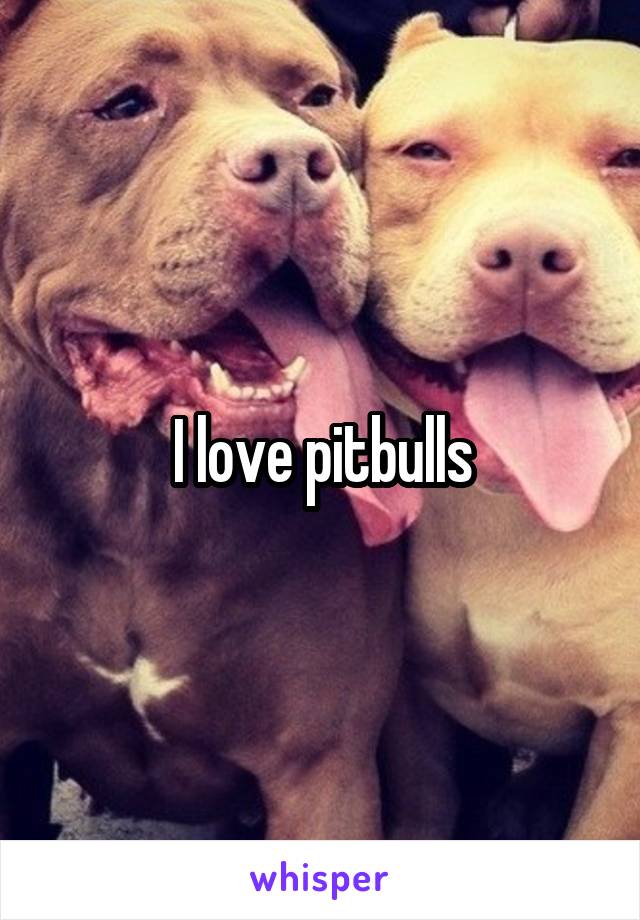 I love pitbulls