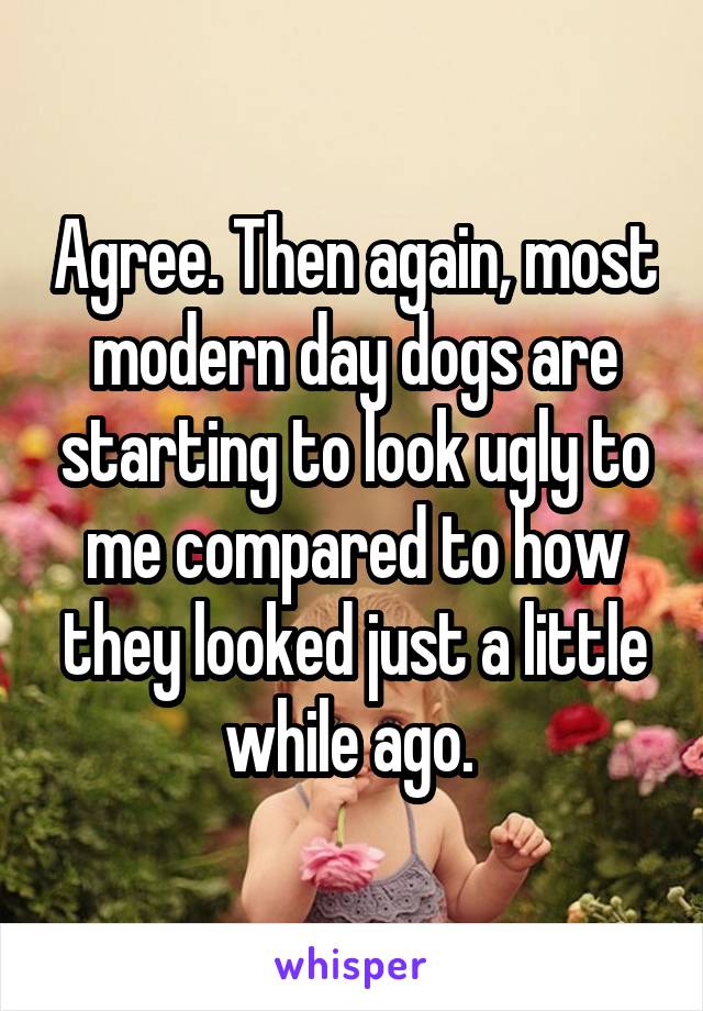 Agree. Then again, most modern day dogs are starting to look ugly to me compared to how they looked just a little while ago. 