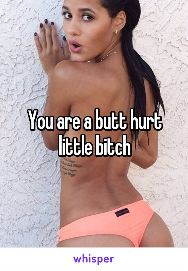 You are a butt hurt little bitch