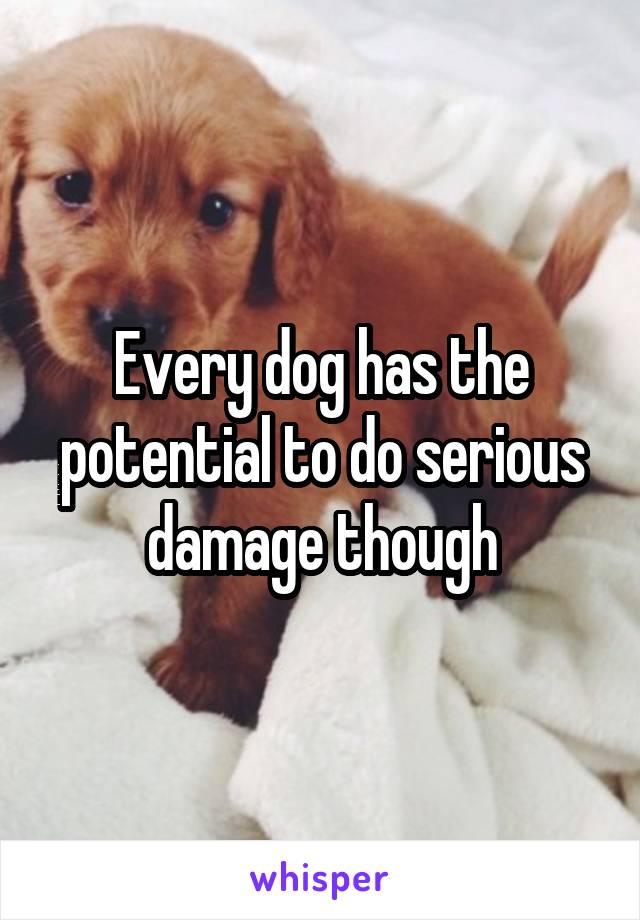 Every dog has the potential to do serious damage though