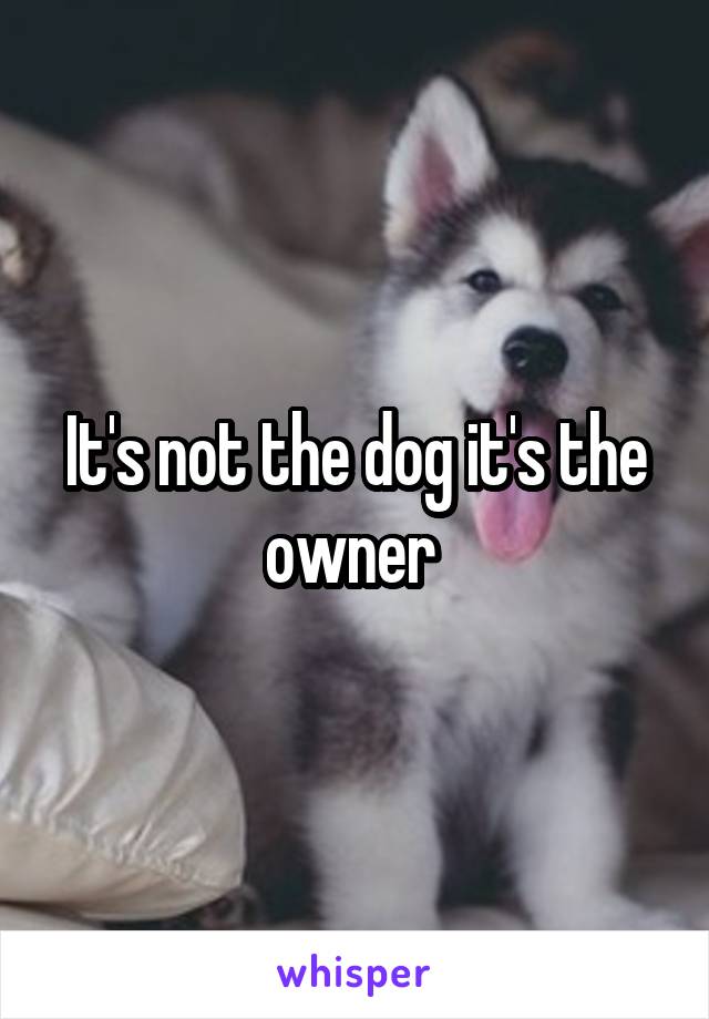 It's not the dog it's the owner 