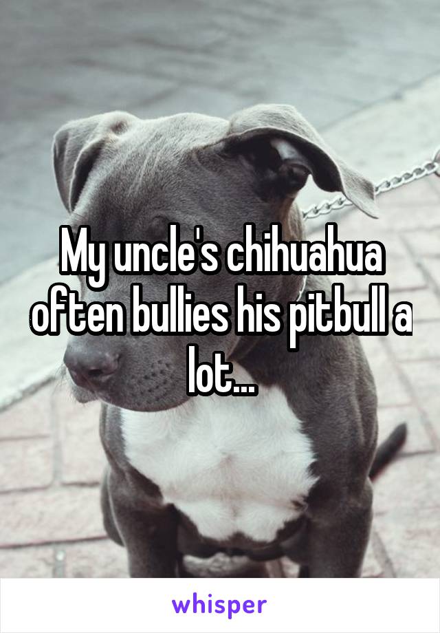 My uncle's chihuahua often bullies his pitbull a lot...