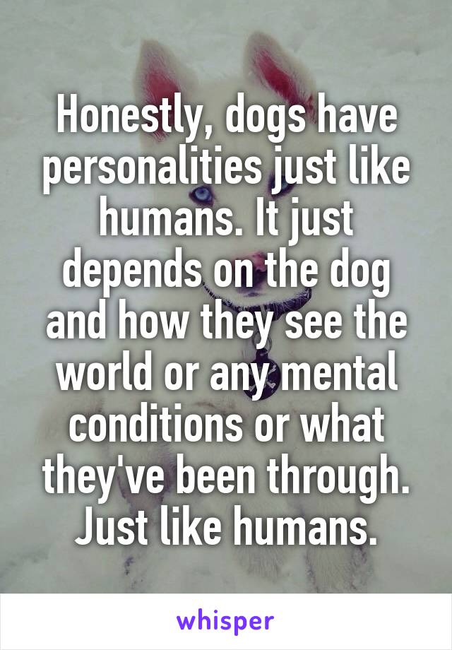 Honestly, dogs have personalities just like humans. It just depends on the dog and how they see the world or any mental conditions or what they've been through. Just like humans.