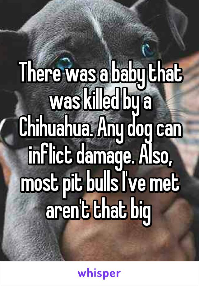 There was a baby that was killed by a Chihuahua. Any dog can inflict damage. Also, most pit bulls I've met aren't that big 