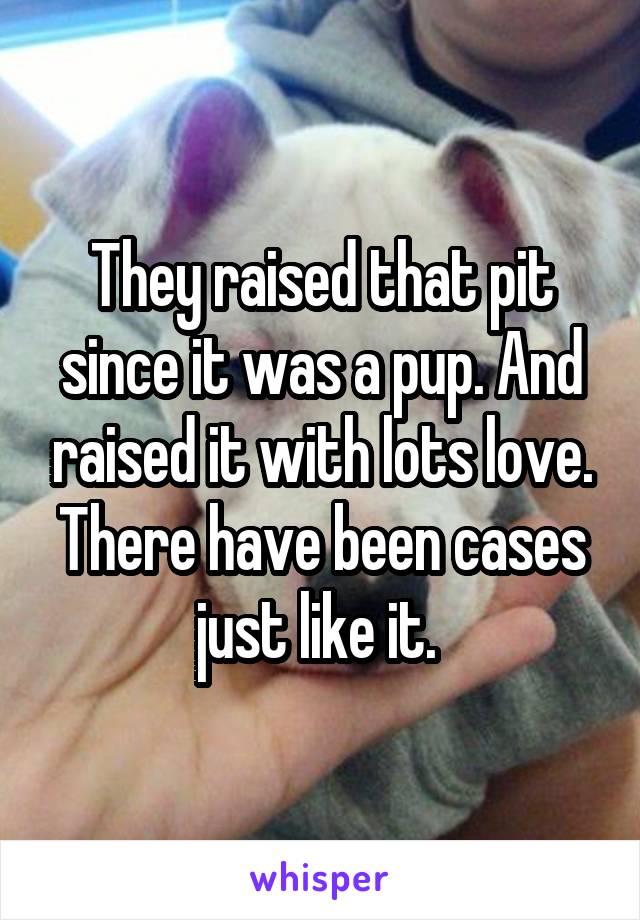 They raised that pit since it was a pup. And raised it with lots love. There have been cases just like it. 