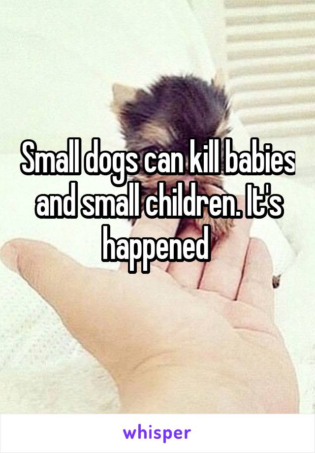 Small dogs can kill babies and small children. It's happened 
