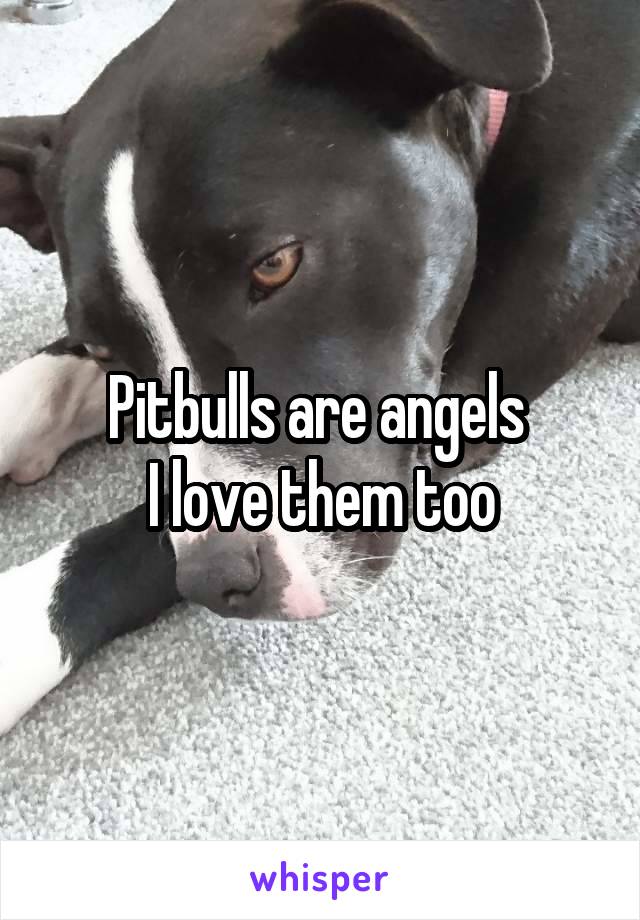 Pitbulls are angels 
I love them too