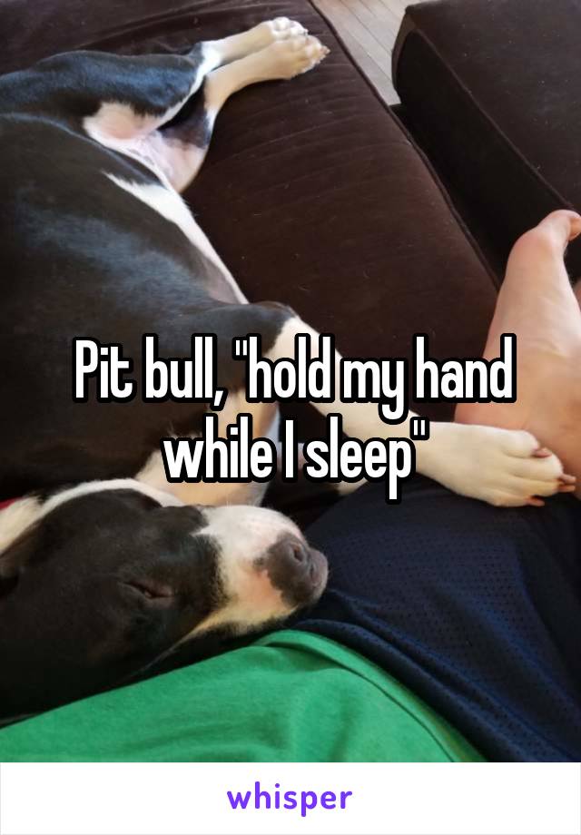 Pit bull, "hold my hand while I sleep"