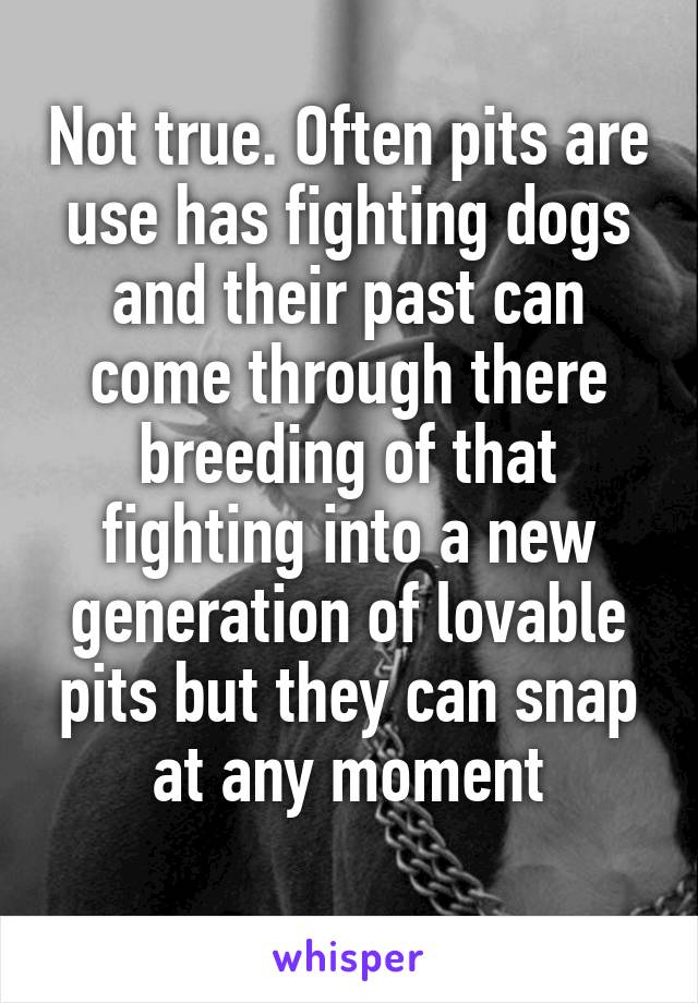 Not true. Often pits are use has fighting dogs and their past can come through there breeding of that fighting into a new generation of lovable pits but they can snap at any moment
