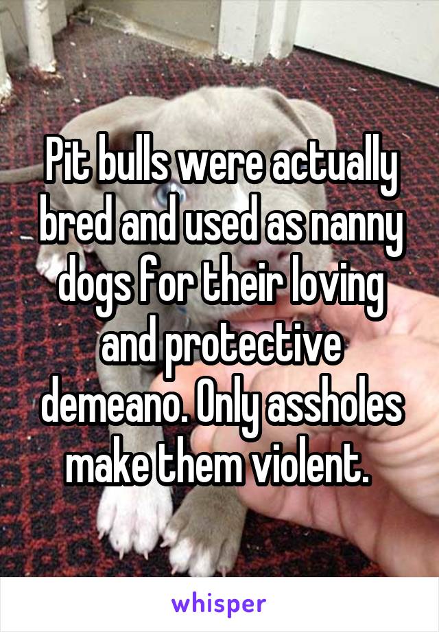 Pit bulls were actually bred and used as nanny dogs for their loving and protective demeano. Only assholes make them violent. 