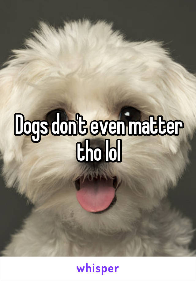 Dogs don't even matter tho lol