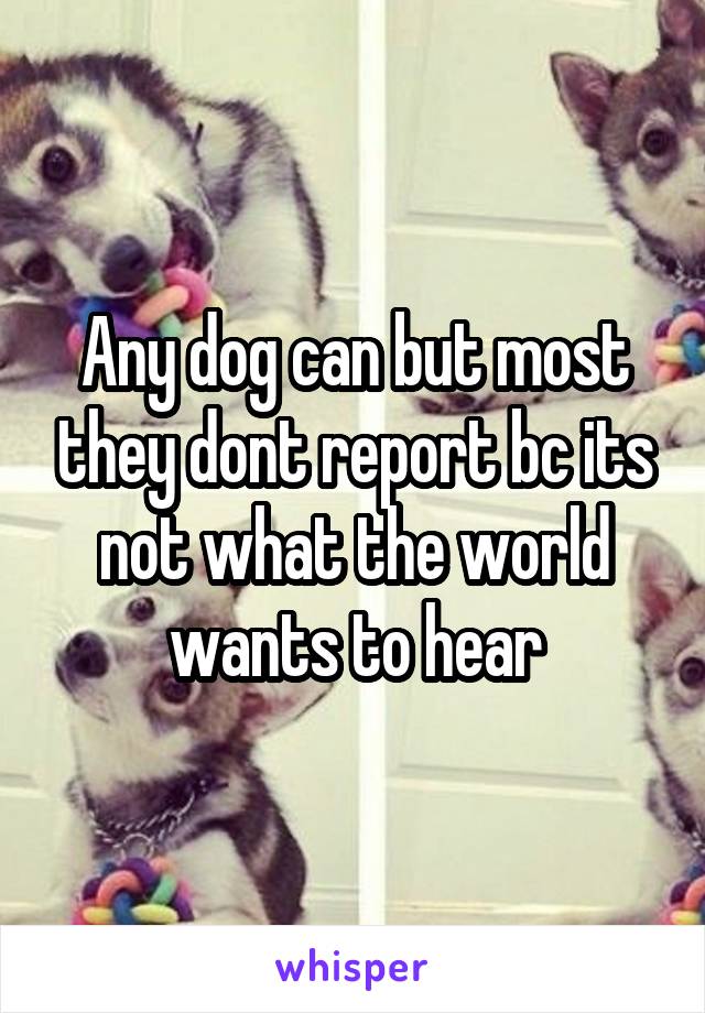 Any dog can but most they dont report bc its not what the world wants to hear