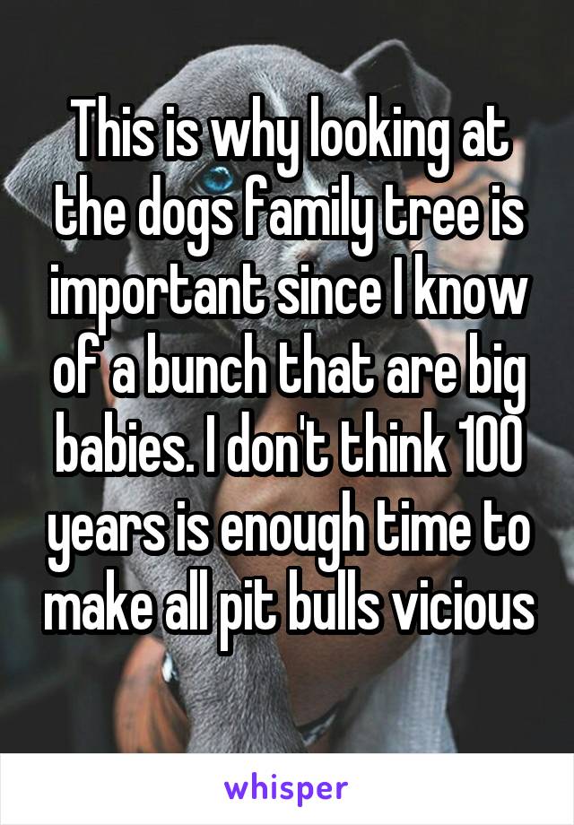 This is why looking at the dogs family tree is important since I know of a bunch that are big babies. I don't think 100 years is enough time to make all pit bulls vicious 