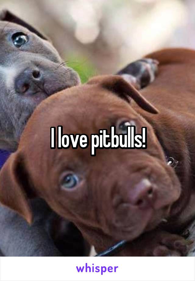 I love pitbulls!