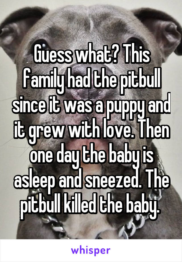 Guess what? This family had the pitbull since it was a puppy and it grew with love. Then one day the baby is asleep and sneezed. The pitbull killed the baby. 