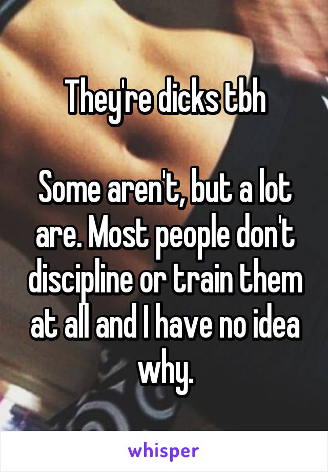 They're dicks tbh

Some aren't, but a lot are. Most people don't discipline or train them at all and I have no idea why.