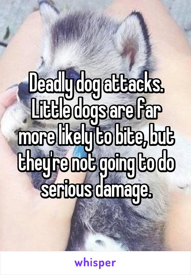 Deadly dog attacks. Little dogs are far more likely to bite, but they're not going to do serious damage.