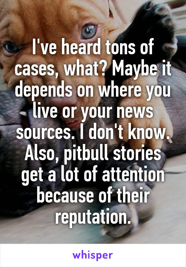 I've heard tons of cases, what? Maybe it depends on where you live or your news sources. I don't know. Also, pitbull stories get a lot of attention because of their reputation.