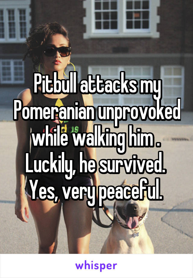 Pitbull attacks my Pomeranian unprovoked while walking him .  Luckily, he survived.  Yes, very peaceful. 