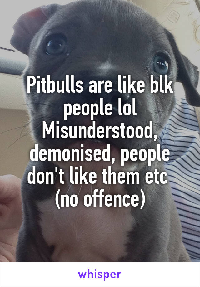 Pitbulls are like blk people lol
Misunderstood, demonised, people don't like them etc 
(no offence)