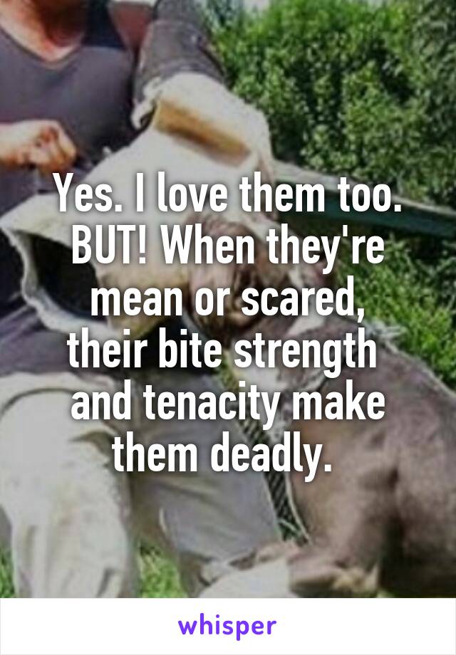 Yes. I love them too. BUT! When they're mean or scared,
their bite strength 
and tenacity make them deadly. 