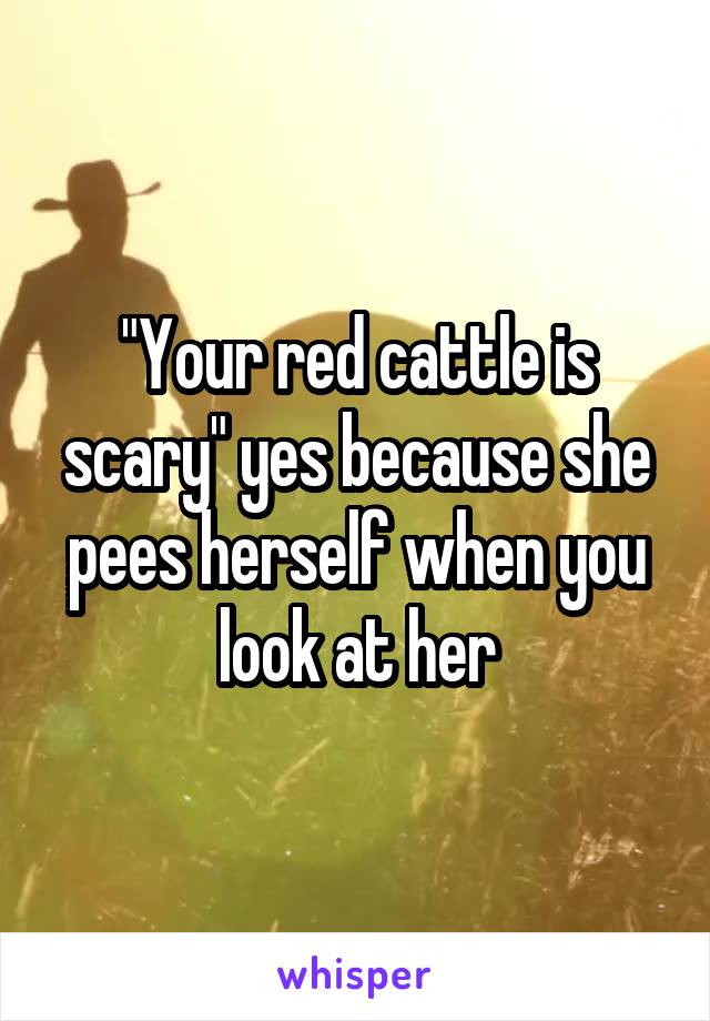 "Your red cattle is scary" yes because she pees herself when you look at her