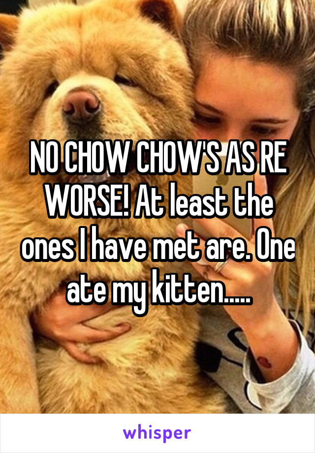 NO CHOW CHOW'S AS RE WORSE! At least the ones I have met are. One ate my kitten.....