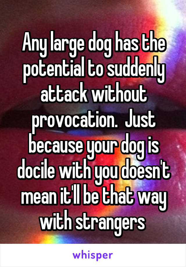 Any large dog has the potential to suddenly attack without provocation.  Just because your dog is docile with you doesn't mean it'll be that way with strangers 