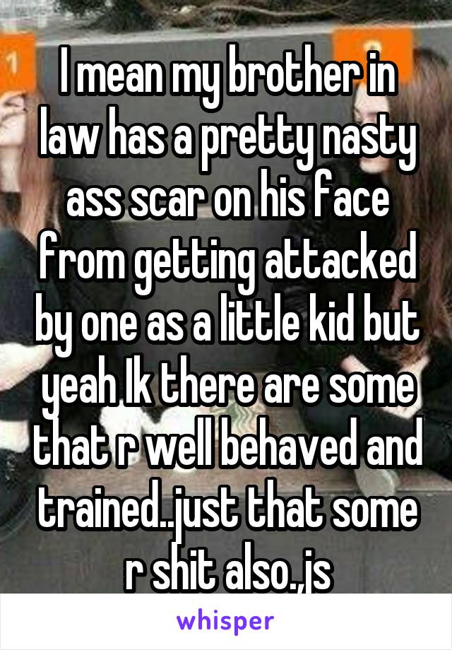 I mean my brother in law has a pretty nasty ass scar on his face from getting attacked by one as a little kid but yeah Ik there are some that r well behaved and trained..just that some r shit also.,js