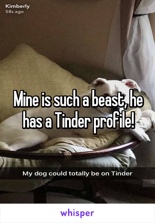 Mine is such a beast, he has a Tinder profile!